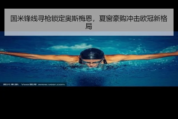 国米锋线寻枪锁定奥斯梅恩，夏窗豪购冲击欧冠新格局